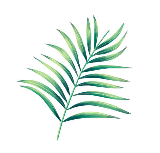 01 leaf