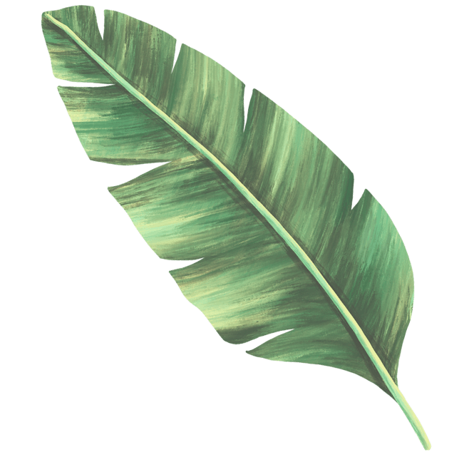 02 leaf
