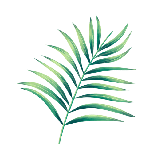 03 leaf