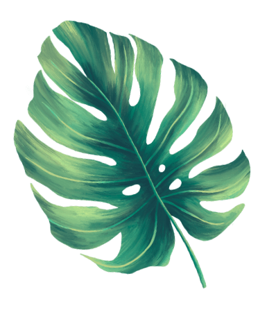 04 leaf