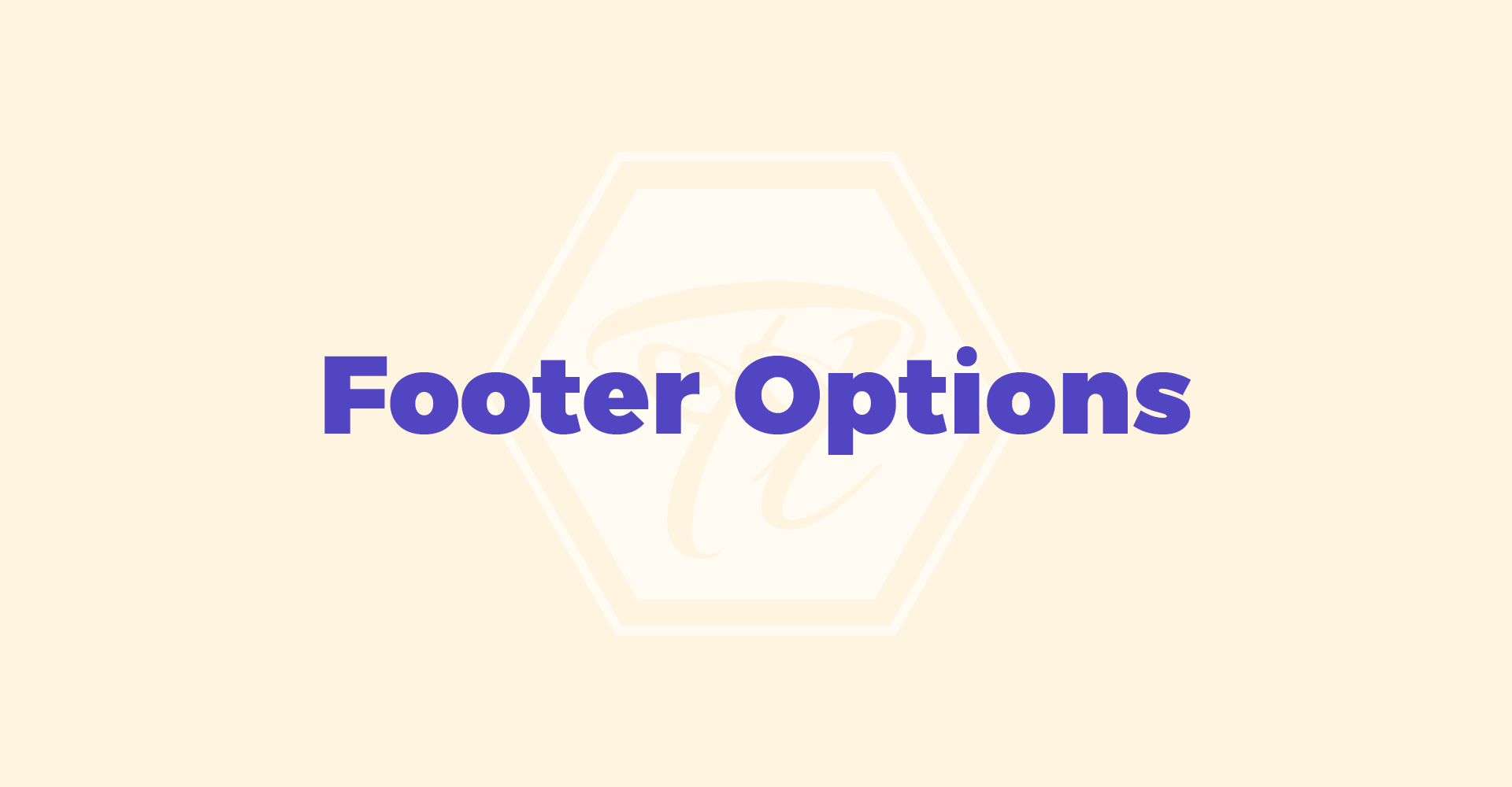 footer_options 1