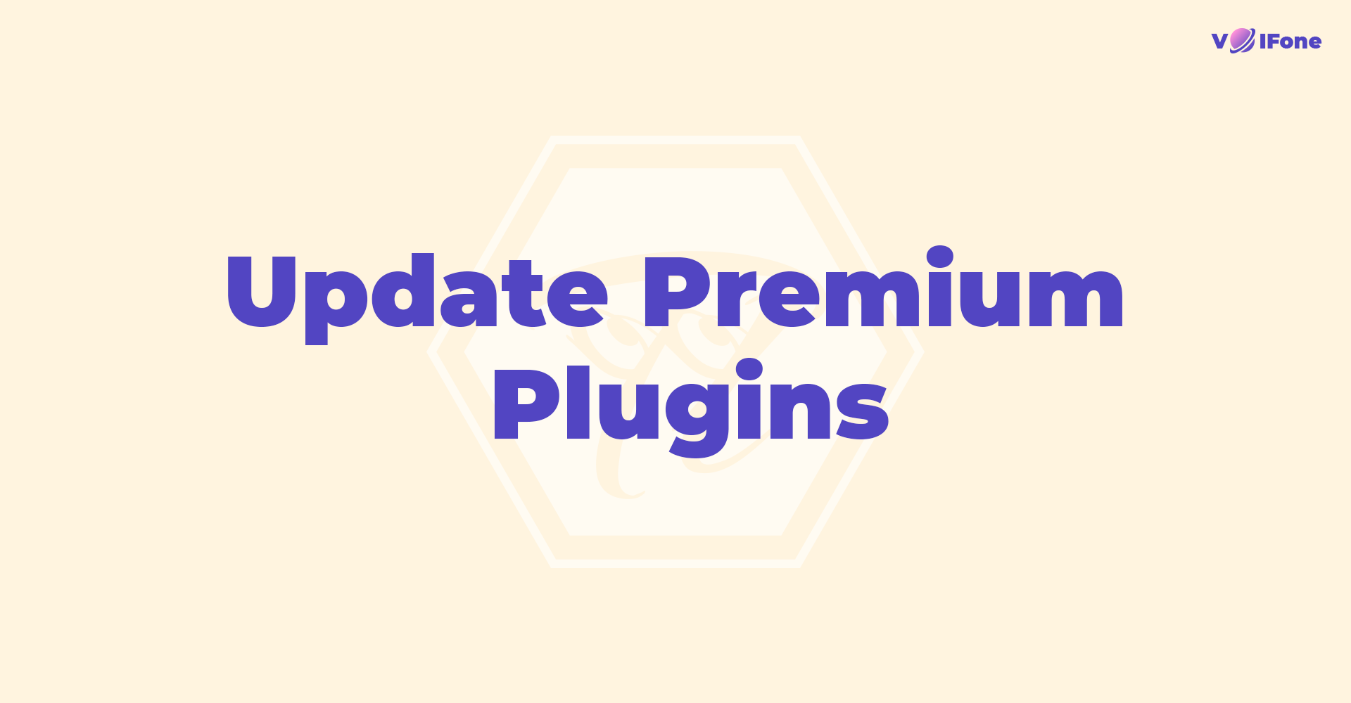 update_plugin